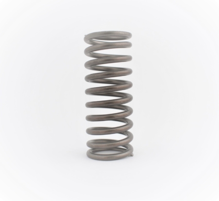 711013 Valve spring